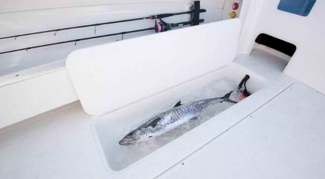 Haines Signature 650 F - Image 4